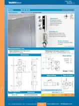 Pivoting Door - 24