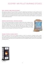 pellet stove ecofire-11