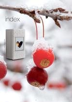 pellet stove ecofire-2