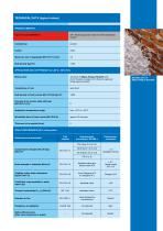 MAPE-ANTIQUE RINZAFFO-3