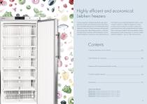 Freezers for the frozen food and ice-cream industries 2018-2