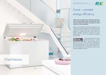 Ultra efficient Refrigeration & freezing - 10