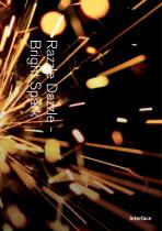 Razzle Dazzle - Bright Spark - 1