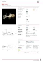 Koi/LIFE SIZE-1