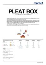 Pleat Box - 1