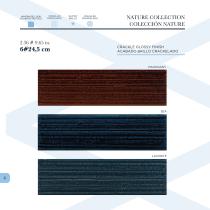 Amadís General Catalog 2025-5