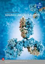 MAMMALIAN CELLS & mAb‘s - 1