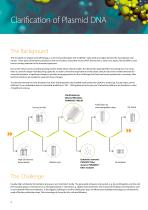 PLASMID DNA - 2