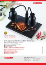 Cutting Station for Buffet heat Lamps-4