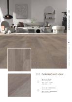 AF CATALOG WEB DIGITAL-42