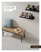 CONCEPT-1