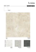 BETON Concrete Effec-25