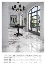 Marble Effect-72