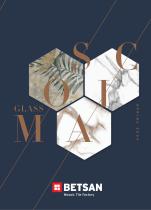Betsan Mosaic Brochure 2024-1