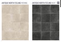 Antique North Feeling-3