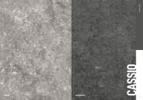 Cassio-1