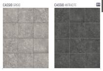 Cassio-4