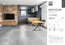 North Feeling-3