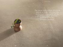 STONE INSTINCT-12