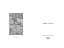 STONE INSTINCT-2