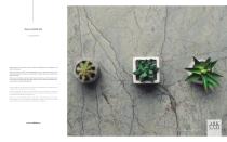 2022/23 3&6 MM COLLECTION-3
