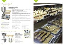 Brochure - 11