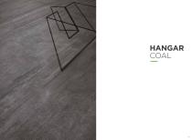 HANGAR-19