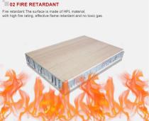 Polybett HPL Aluminum Honeycomb Panel-5