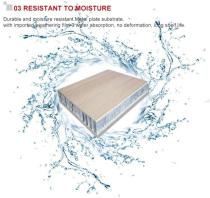 Polybett HPL Aluminum Honeycomb Panel-6