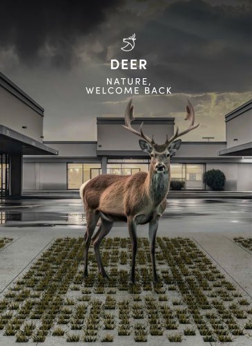 Deer brochure