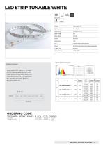 LED STRIP TUNABLE WHITE 9.6w - 1