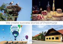company presentation PDF-22