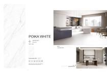 porcelain slab Normal body-16