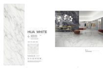 porcelain slab Normal body-19