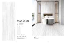 porcelain slab Normal body-21