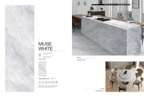 porcelain slab Normal body-23