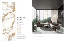 porcelain slab Normal body-24
