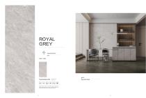 porcelain slab Normal body-29
