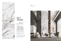 porcelain slab Normal body-5