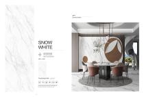 porcelain slab Normal body-6