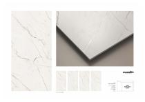 GVT Carving-37