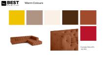 Our Color world-3
