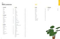 Neu GeoCeramica® brochure 2024-2025-7