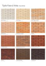 Face Brick-2