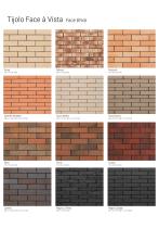 Face Brick-3