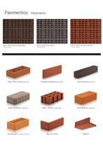 Face Brick-5