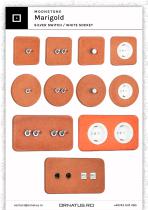 Moonstone Collection-4