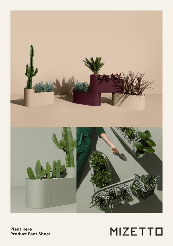 Plant Here