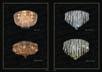 Professional Catalog-45