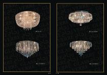 Professional Catalog-47